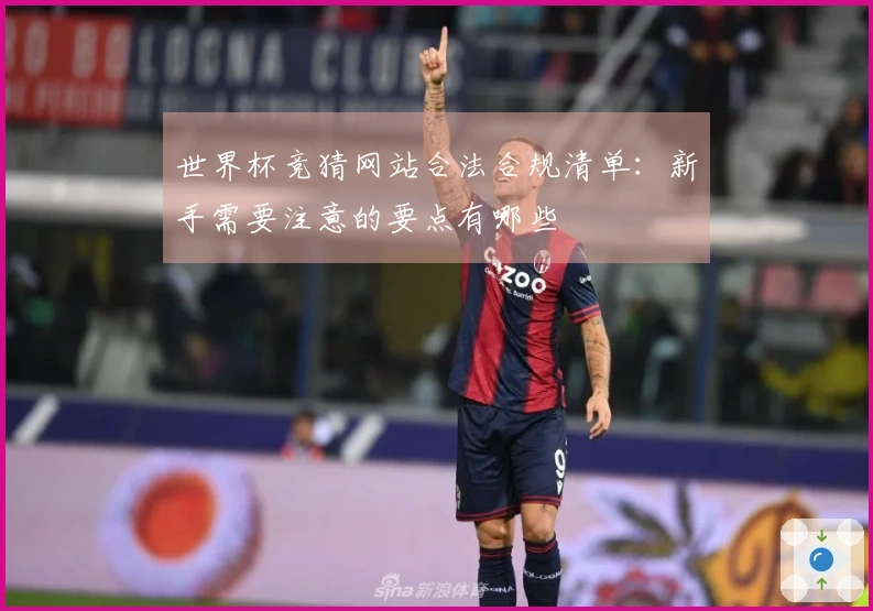 世界杯竞猜网站合法合规清单:新手需要注意的要点有哪些